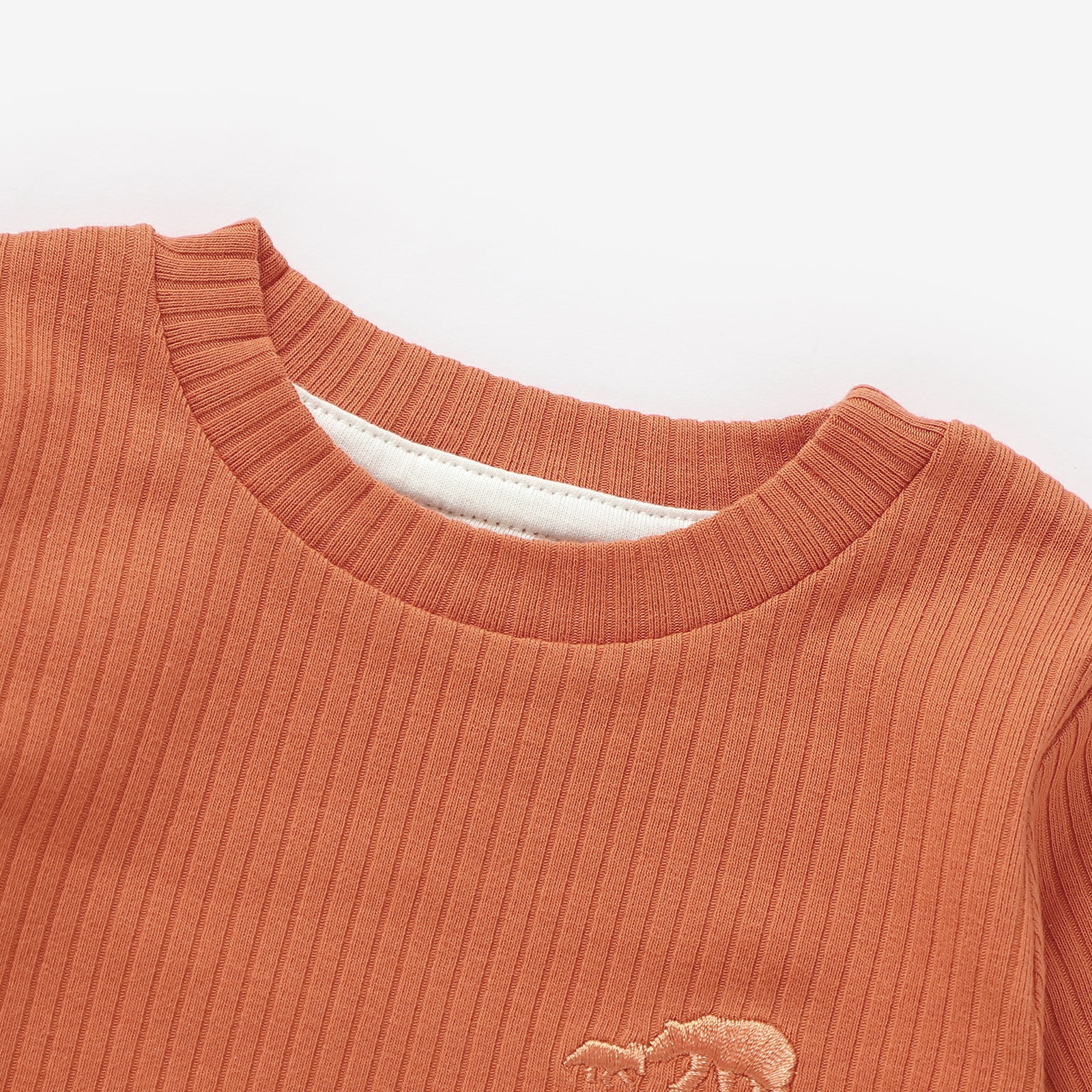 Terracotta Ribbed Long Sleeve Top